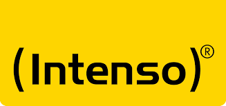 datenrettung Intenso